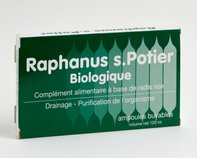 raphanus-s-potier-bio